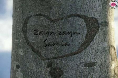 zayni zayni